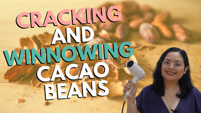How to Crack and Winnow Cacao Beans | Craft Chocolate Making