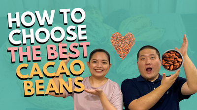 How to choose the best cacao beans | Cacao Culture PH