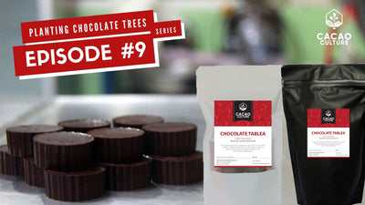 Planting Chocolate Trees Episode #9: How Cacao Culture Farms Tablea is Made