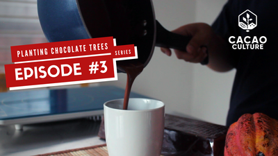 Planting Chocolate Trees Vlog Series Episode #3: Tablea Hot Chocolate Recipes