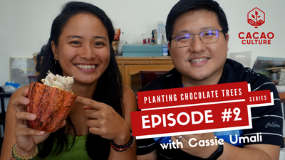 Planting Chocolate Trees Vlog Series: Episode #2 What Does Cacao Fruit Taste Like?