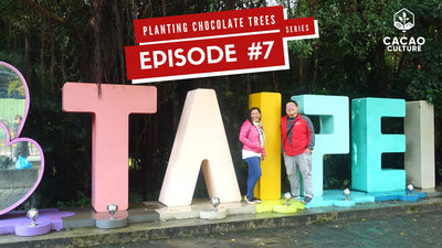 Planting Chocolate Trees Vlog Series Episode #7: Cacao Culture in Taiwan Part 2