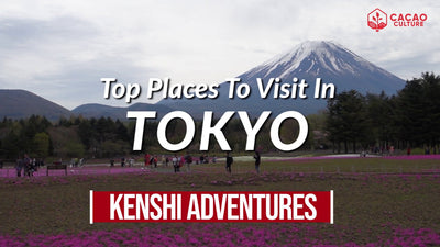 Top Places in Tokyo | Kenshi Adventures