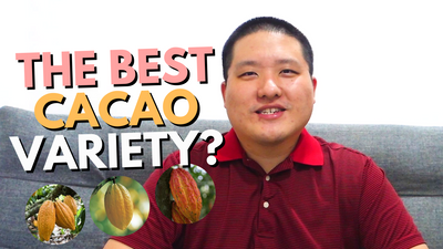 Which is the best cacao variety