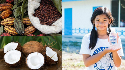 Friends of Hope, Inc.  - Cacao and Coconut Intercropping